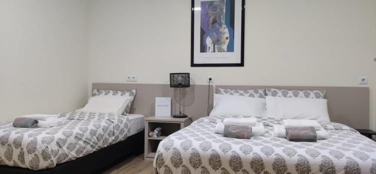 Al Santiago T1 Apartment Viana do Castelo Bagian luar foto