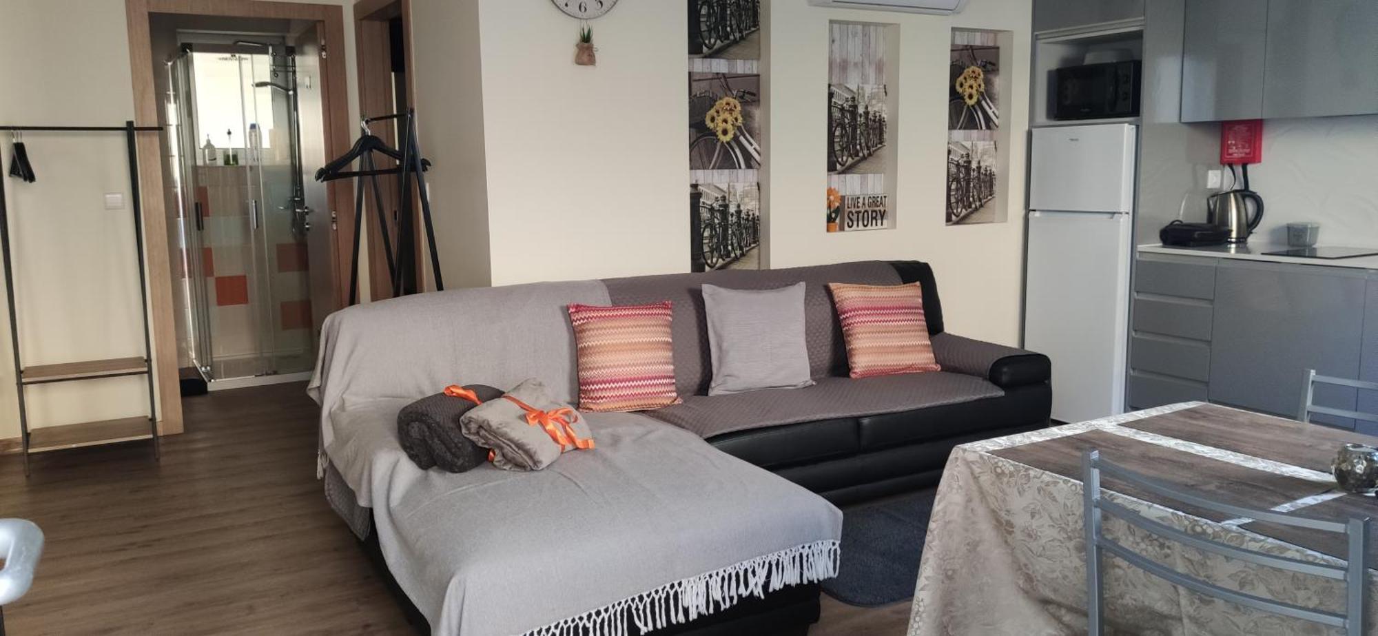 Al Santiago T1 Apartment Viana do Castelo Ruang foto